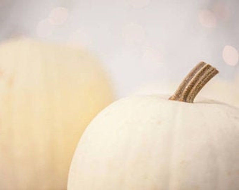 A close look at a Casper pumpkin.