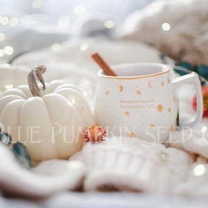 A Casperita pumpkin next to a mug.