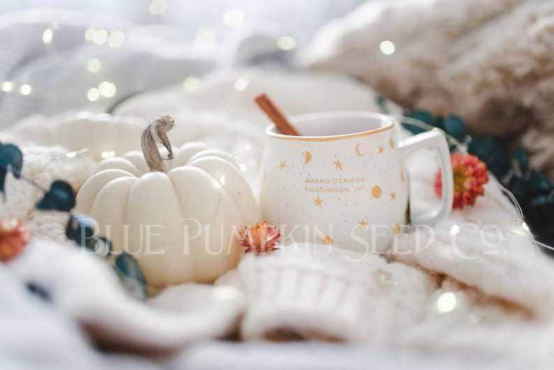 A Casperita pumpkin next to a mug.