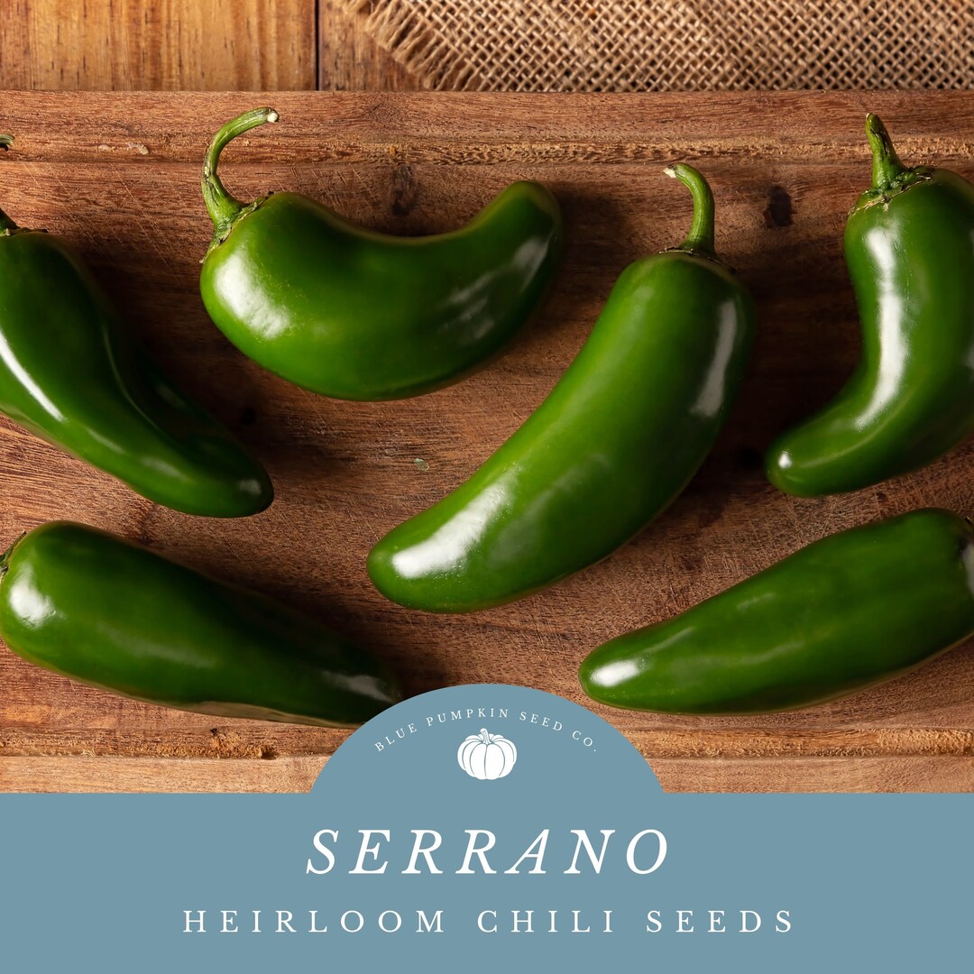 Serrano Chili Seeds: Spice up Your Garden With Fiery Flavor - A Staple ...
