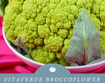 Vitaverde F1 Broccoflower seeds: Broccoli And Cauliflower All In One - Plant Seeds for a Bountiful Summer, Fall, or Winter Harvest!