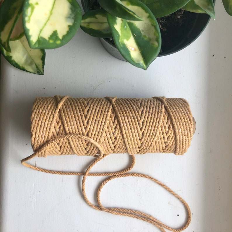 Wooden Moon Tassel Earrings