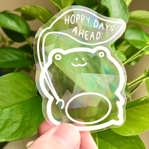 Frog Rainbow Suncatcher Stickers for Windows