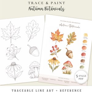 May include: A 5-page PDF titled Trace & Paint Autumn Botanicals featuring black and white line art of leaves, berries, an acorn, a flower, and mushrooms alongside a watercolor reference sheet with color swatches and painting instructions.