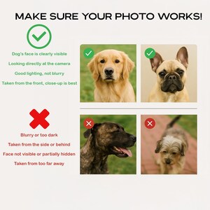 The image is a collage of four photographs of dogs, each with a caption describing the quality of the photo. The caption for the first dog's photo reads "Dog's face is clearly visible" and the second dog's photo is described as "Blurry or too dark". The third dog's photo is described as "Good lighting, not blurry" and the fourth dog's photo is described as "Taken from the side or behind".