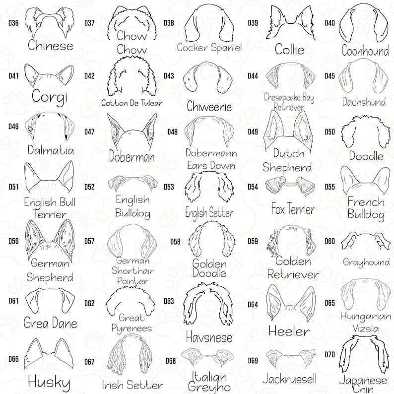 a drawing of different types of dogs