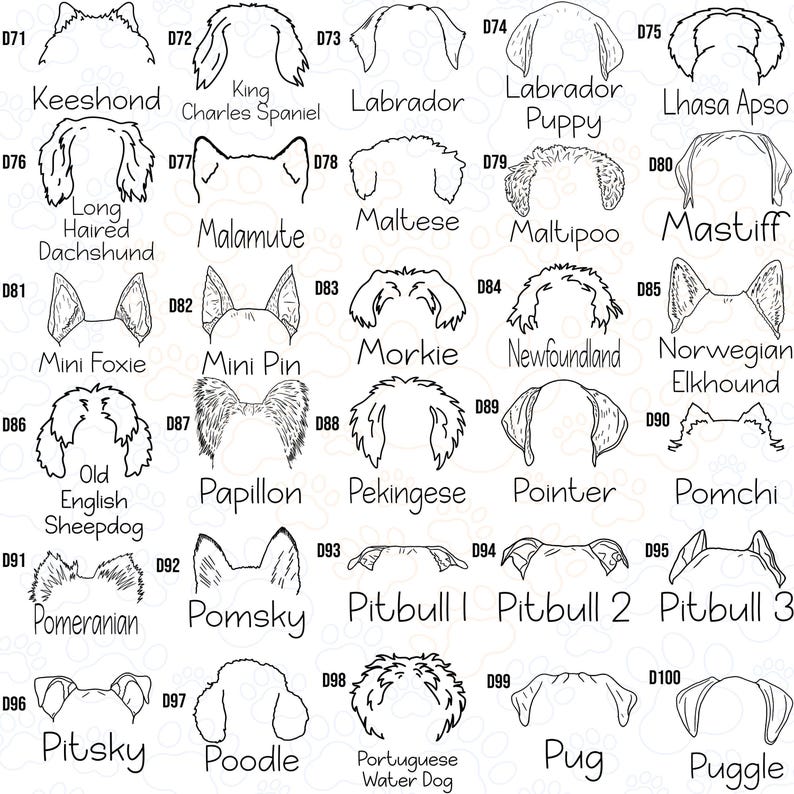 a drawing of different types of dogs