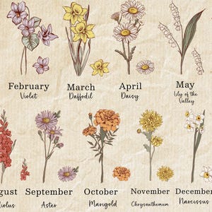 a bunch of flowers that are on a piece of paper