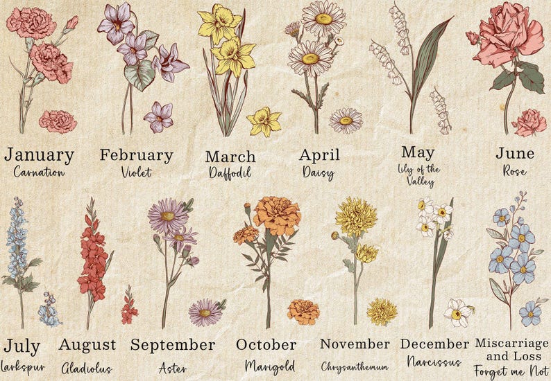 a bunch of flowers that are on a piece of paper