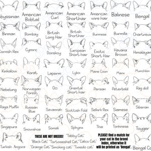 a drawing of different types of cats