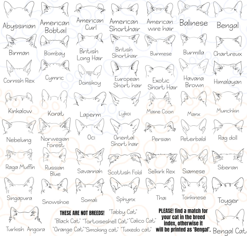 a drawing of different types of cats
