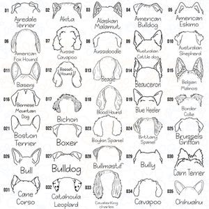 a diagram of the different types of dogs