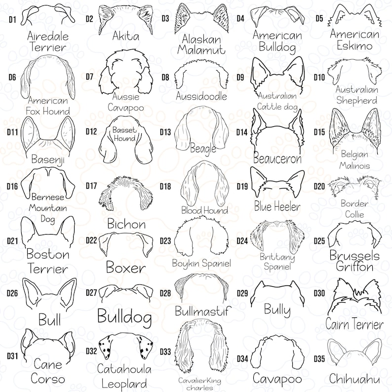 a diagram of the different types of dogs