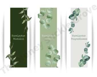 Plant Printable Digital Bookmark Set of 3 | Printable Bookmark | Light Academia Gift | Literary Gift