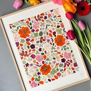 Framed herbarium, dried flower and leaf herbarium, herbarium frame, plant frame, handmade in France, Conter Fleurette