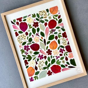 Framed herbarium, dried flower and leaf herbarium, herbarium frame, plant frame, handmade in France, Conter Fleurette