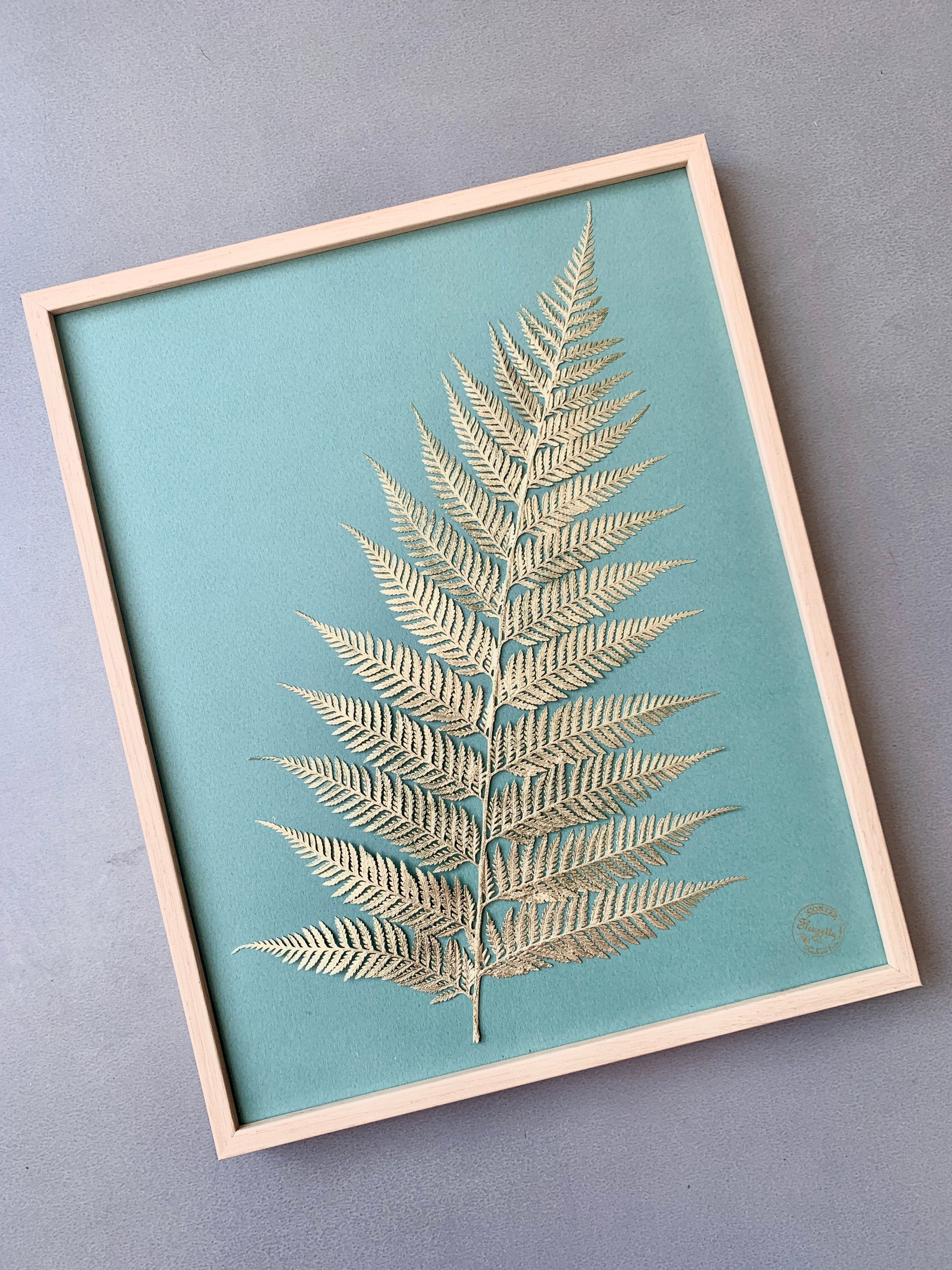 Herbier Encadré, Herbier Fleurs Feuilles Séchées, Herbarium, Cadre Herbier, Végétale, Fait à La Main