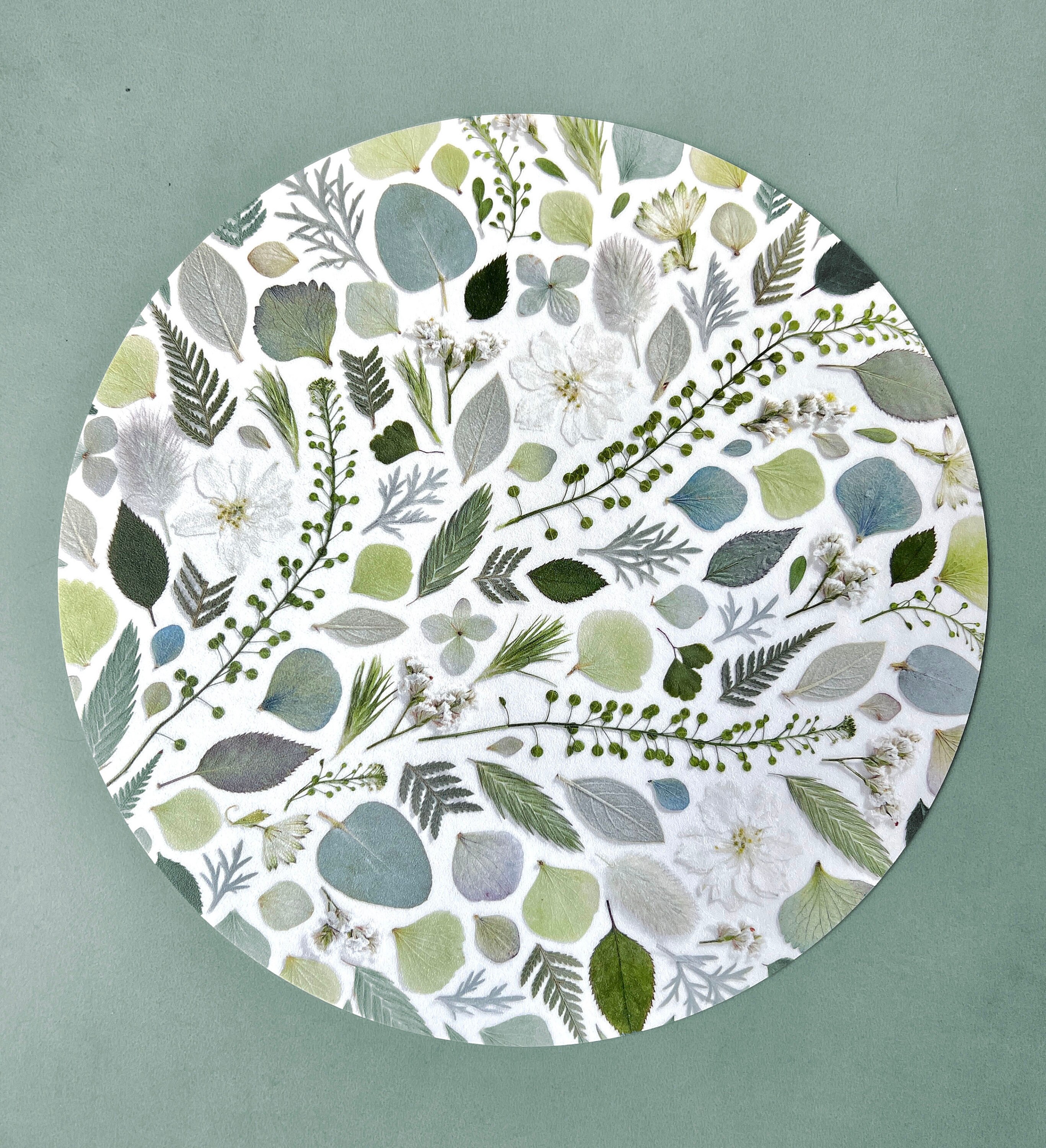 Green vinyl herbarium placemat, vegetable garden, floral table decoration, vegetable herbarium, made in France, Conter Fleurette