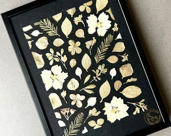 Herbier encadré, herbier fleurs  feuilles séchées, herbarium, cadre herbier, cadre végétal, fait à la main en France, Conter Fleurette