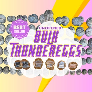 Oregon Thundereggs Unopened Lot by the pound Saw Cut Break Slab Your Own Rough Rock Rockhound Gift Lapidary Agate various sizes thunder eggs