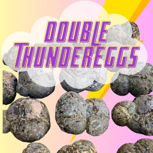 RARE DOUBLE Oregon Thundereggs, Rough Uncut by the pound, Agate - Saw Cut Your Own, Lapidary Materials, DOUBLE multiple cluster thunder eggs