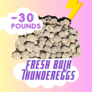 30 POUNDS Oregon Thundereggs, Rough Uncut Agate, Saw Cut Open Slab Your Own Unopened Rocks, Rockhound Gift, singles, multiples, Unwashed