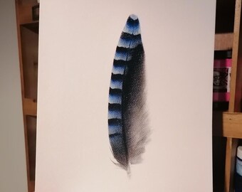 Blue Jay Feather - CMYK A4 Screenprint