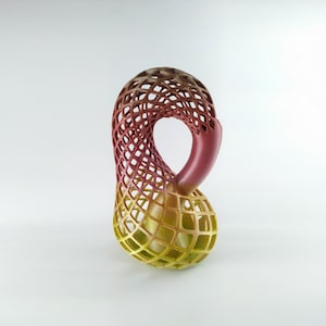Klein Bottle Vase for Flowers Tho Dimensional Manifold Abstract