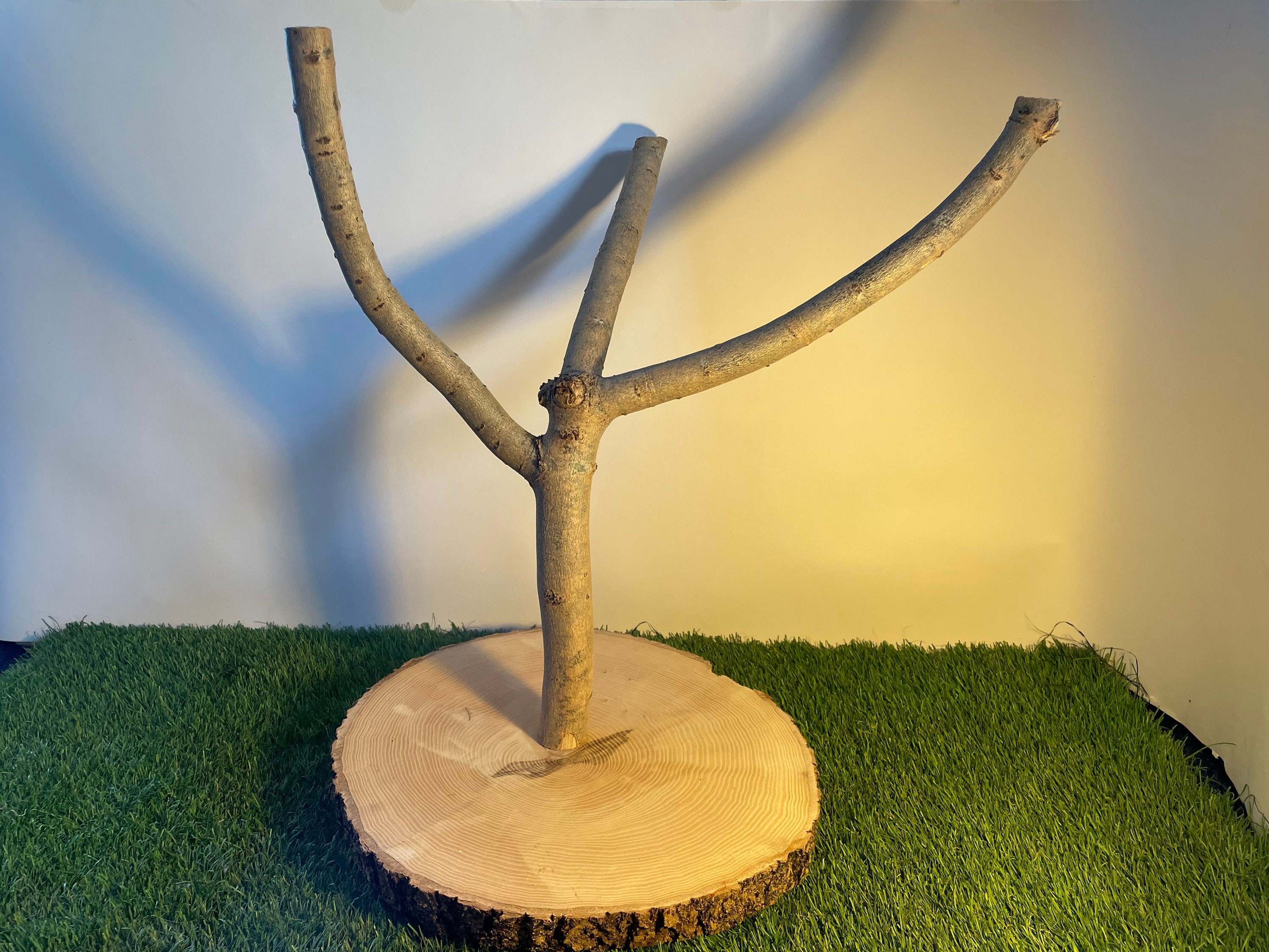 Large ash birch branch perch for large birds / budgies / Etsy