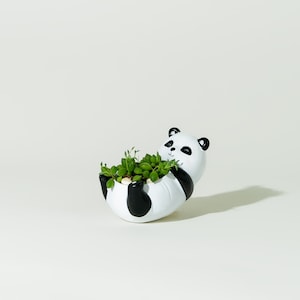 Handgemachte Pflanze Kleine Topfpflanze Panda Baumfaultier Hund