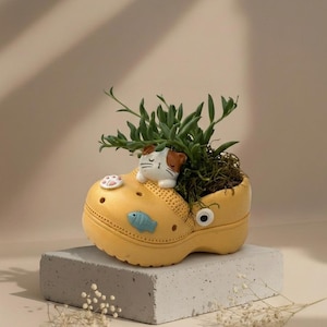 May include: A yellow clog-shaped planter featuring a small cat figure, a blue fish charm, and a white paw print charm. The shoe-shaped container holds a green succulent plant with thin, pointed leaves and dark soil visible at the top opening.