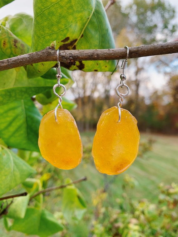 Dried cheap fruit earrings