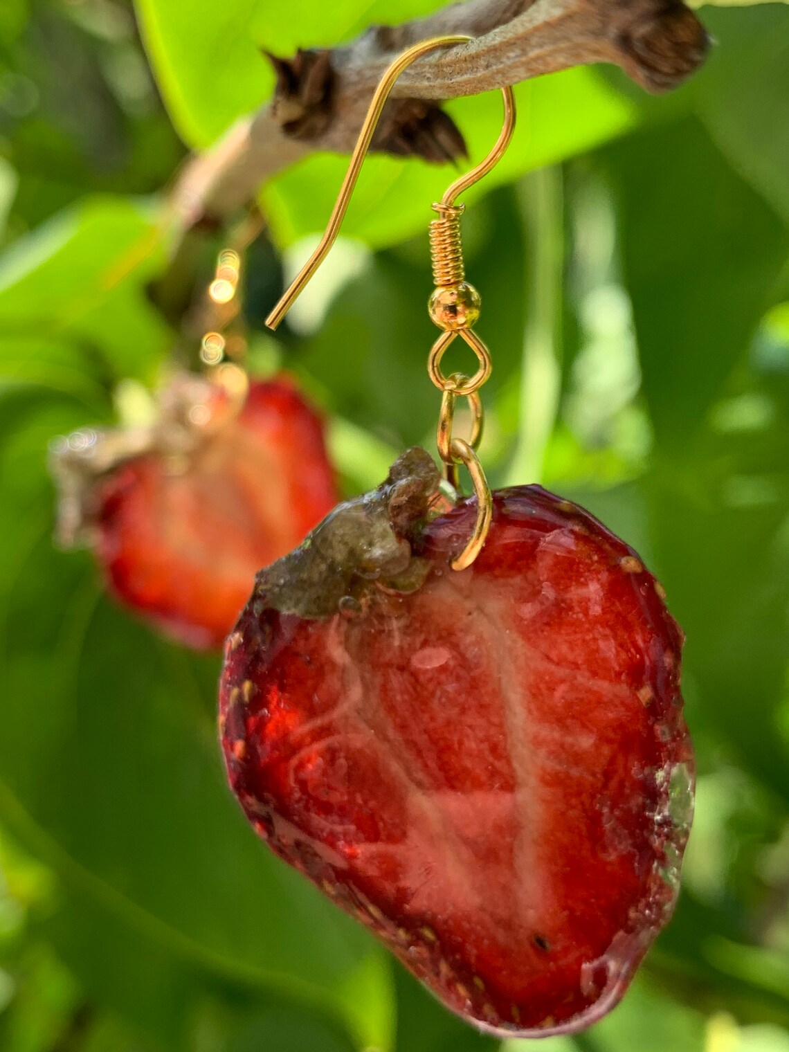 Real Strawberry Fruit Slice Earrings on Hypoallergenic Silver Etsy