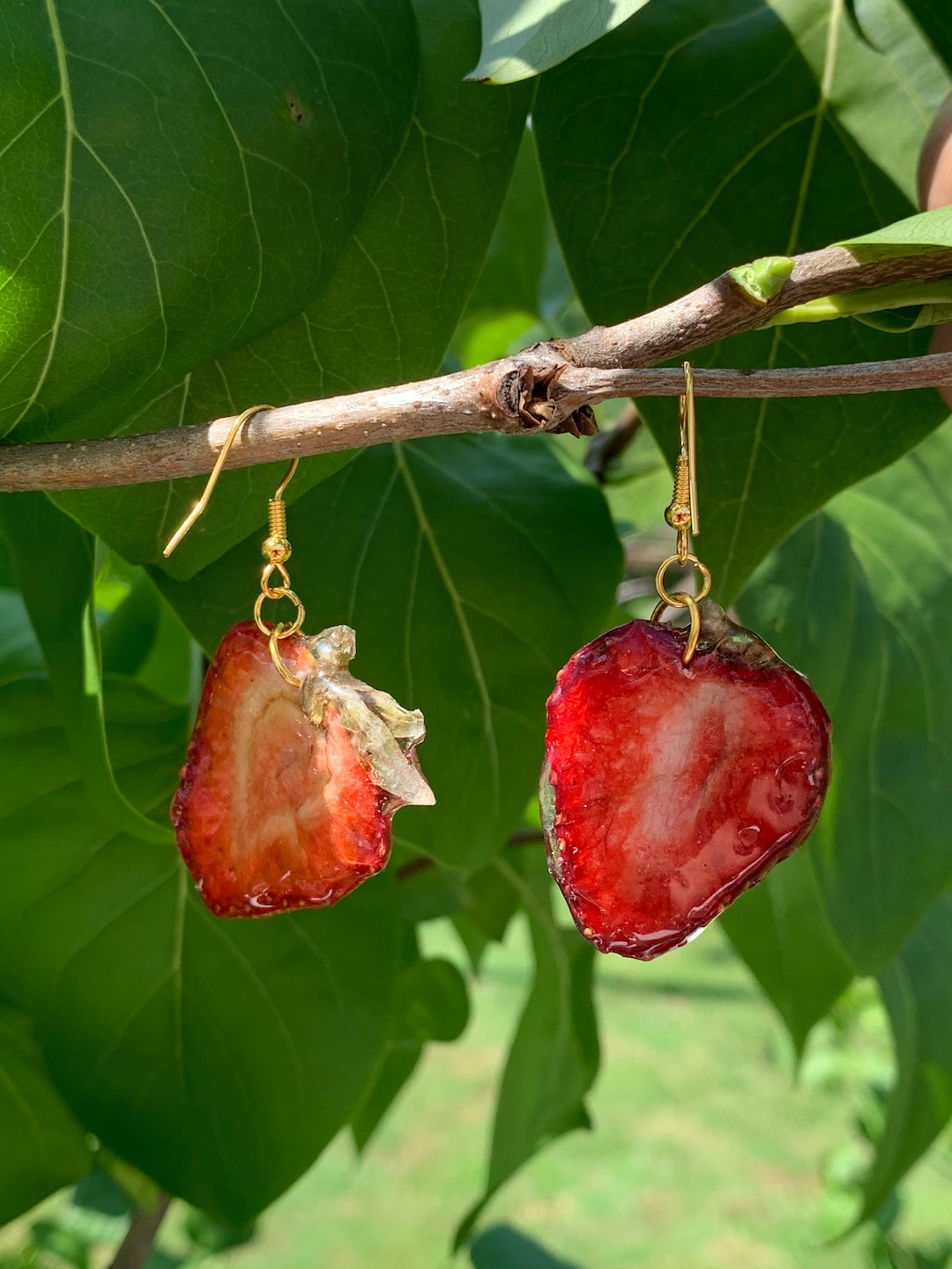 Real Strawberry Fruit Slice Earrings on Hypoallergenic Silver Etsy