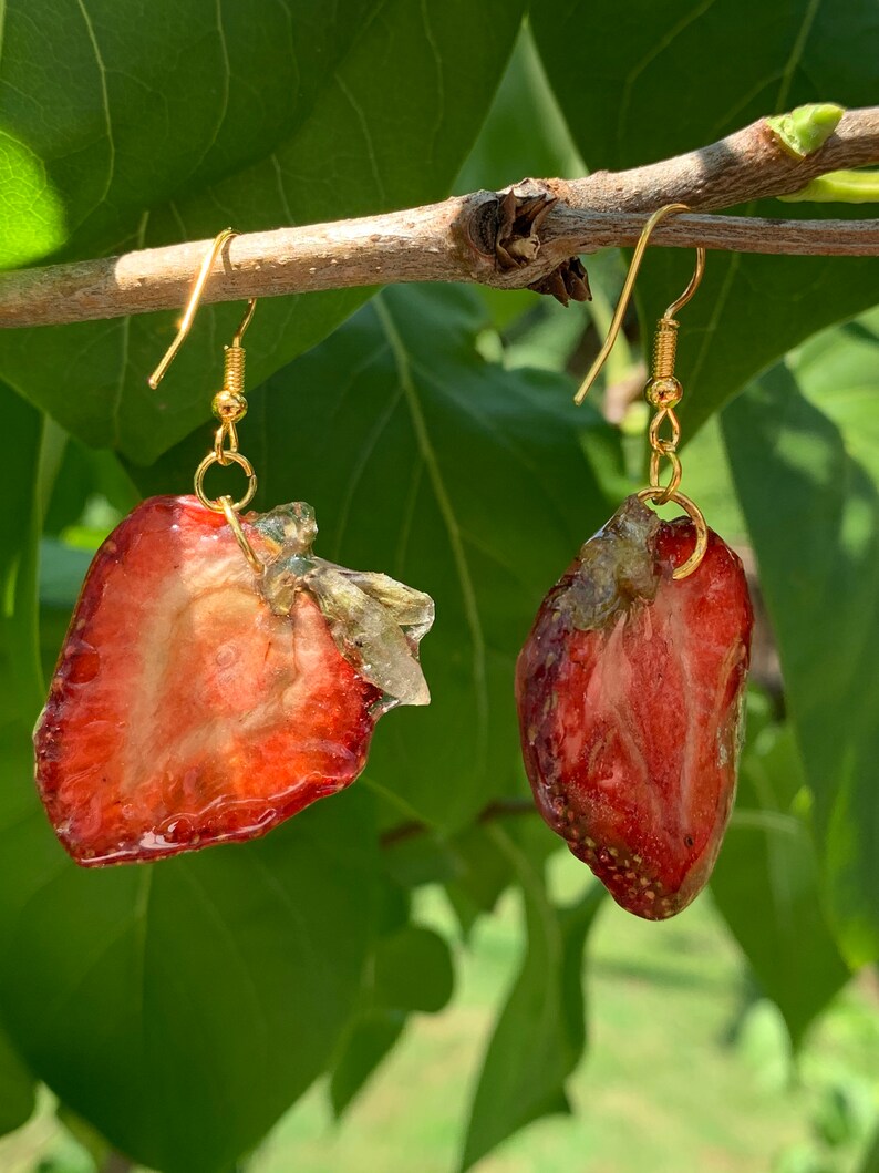 Real Strawberry Fruit Slice Earrings on Hypoallergenic Silver Etsy