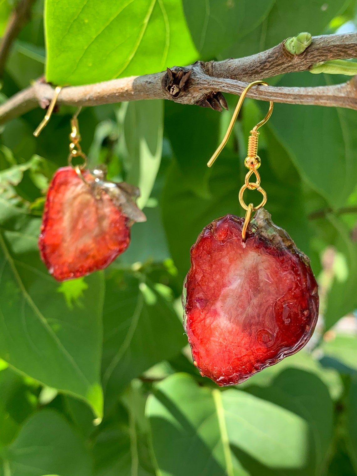 Real Strawberry Fruit Slice Earrings on Hypoallergenic Silver Etsy