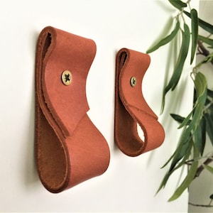 May include: Two rust-colored leather drawer pulls mounted on a white wall. Each pull is secured with a brass screw. The pulls have a looped design, creating a handle. Decorative home decor.