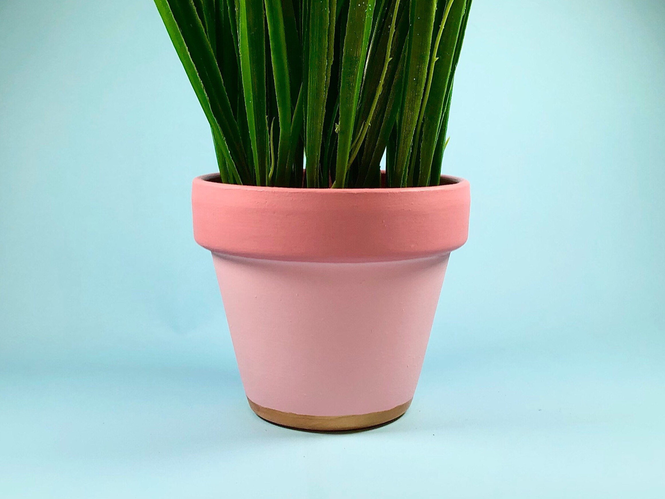 Dusky Pink Plant Pot with Gold Dipped Detail & Drainage Hole Etsy