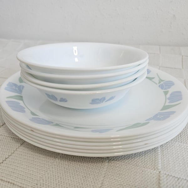 Corelle Friendship Pattern, Berry Bowls and Luncheon Plates, Set of 10