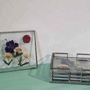 Pressed Flower Glass Coast Set With Holder