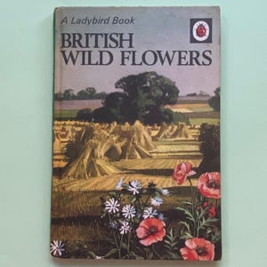 Ladybird British Wild Flowers Book: Vintage 1960s Nature Edition