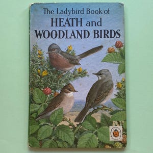 Ladybird British Heath and Woodland Birds Book - Ladybird Nature Books British Wild Flowers & Animals Books - 1960s Gift - Series 536