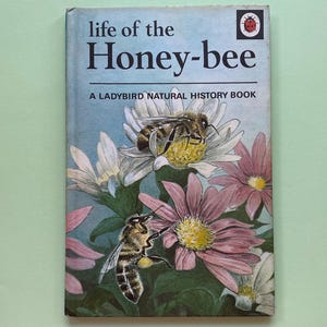 Ladybird The Life of the Honey Bee Book: Vintage 1960s British Nature