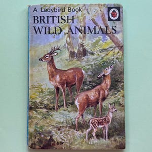 Ladybird British Wild Animals - Ladybird Nature Books British Wild Flowers & Animals Books - 1960s Gift - Series 536