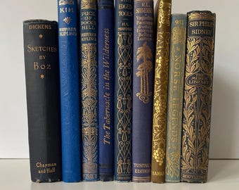 Antikes Edwardian & viktorianisches Buch: Klassische Literatur um 1900