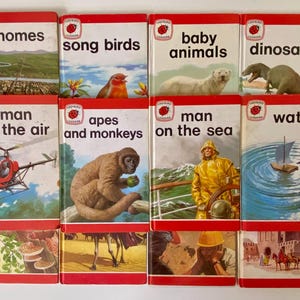 Ladybird Books Set of 12 1965 - 1969 - Children&#39;s Education  Gift - Series 737