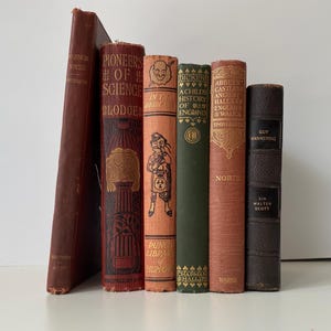 Antique Edwardian & Victorian Book: Early 1900s Illustrated Classic