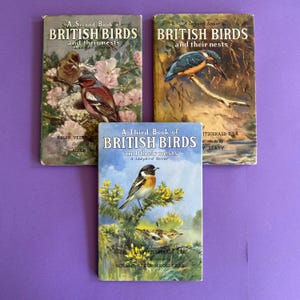 1950s Ladybird Nature Dust Cover Hardback Book Set of 3 British Birds - Children&#39;s Illustrated books 536 Series