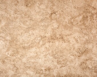 May include: A close-up of a textured, beige wall with a rough, uneven surface. The wall has a subtle, mottled pattern with darker brown spots and streaks.