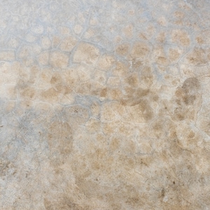 May include: A close-up of a light gray concrete surface with a network of fine cracks and brown stains.